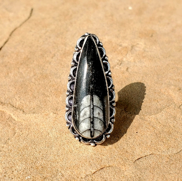 New Orthoceras Fossil Silver Ring. - Picture 6 of 6